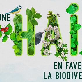 Printemps Sans Pesticides.jpg