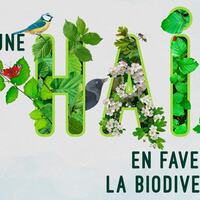 Affiche Printemps Sans Pesticides