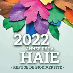 facebook-2022-2%5B1%5D.jpg